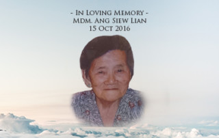 tbm-feature-image-ang-siew-lian