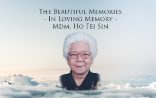 tbm-feature-image-ho-fei-sin