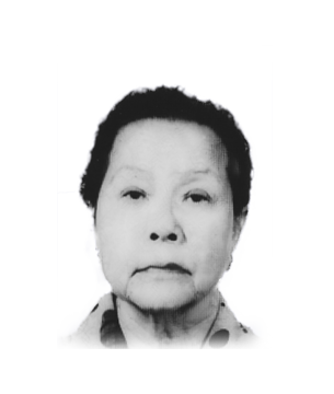 tbm-mast-head-image-ng-yeok-ping online obituary - display photo of late Mdm Ng Yeok Ping