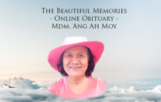 tbm-feature-image-ang-ah-moy
