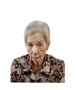 tbm-mast-head-image-lee-kha-cheng-01 Late Mdm. Lee Kha Cheng @ Lee Kah Cheng masthead photo for online obituary on the beautiful memories