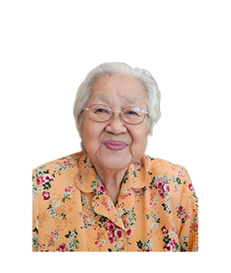 tbm-mast-head-image-baet-sng-khim-01 Late Mdm. Baet Sng Khim @ Bay Sng Khim masthead photo for online obituary on the beautiful memories